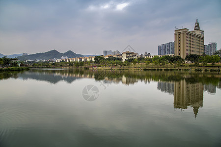 深圳的公园背景图片