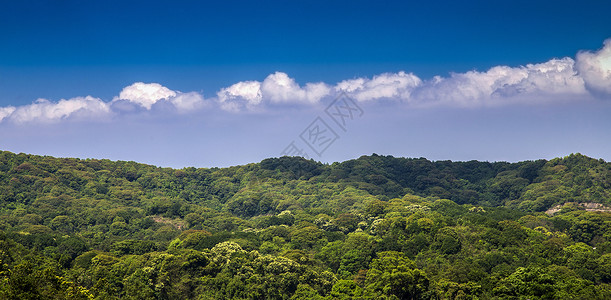 绿化山深圳·马峦山背景