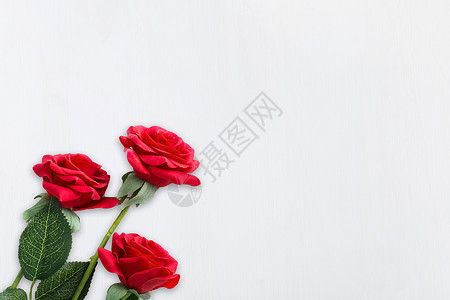 七夕520爱情红玫瑰背景图片