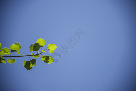 两学一做素材清爽一夏背景