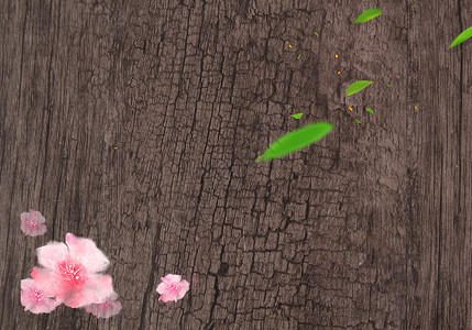 粉色肌理花瓣和木质纹理背景