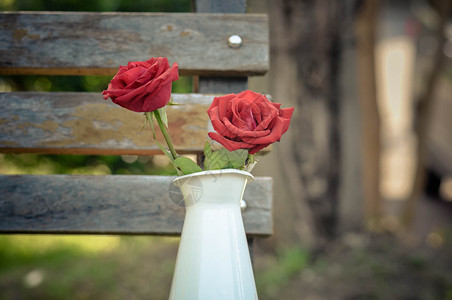 木头凳子上的玫瑰高清图片