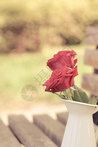 情人节单朵玫瑰玫瑰花背景