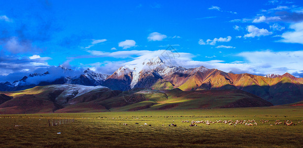背景西藏羊八井背景