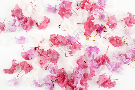 花瓣粉色碎花高清图片