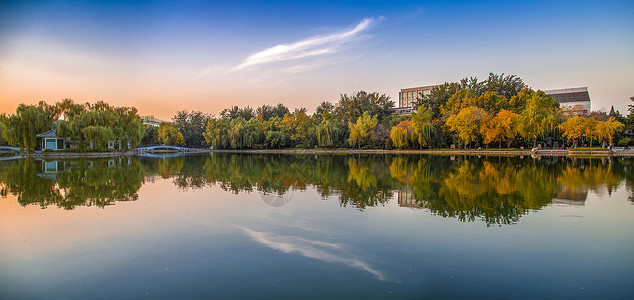 北京秋景秋景背景