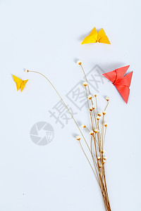 干花设计素材干花纸质蝴蝶设计摆设背景背景
