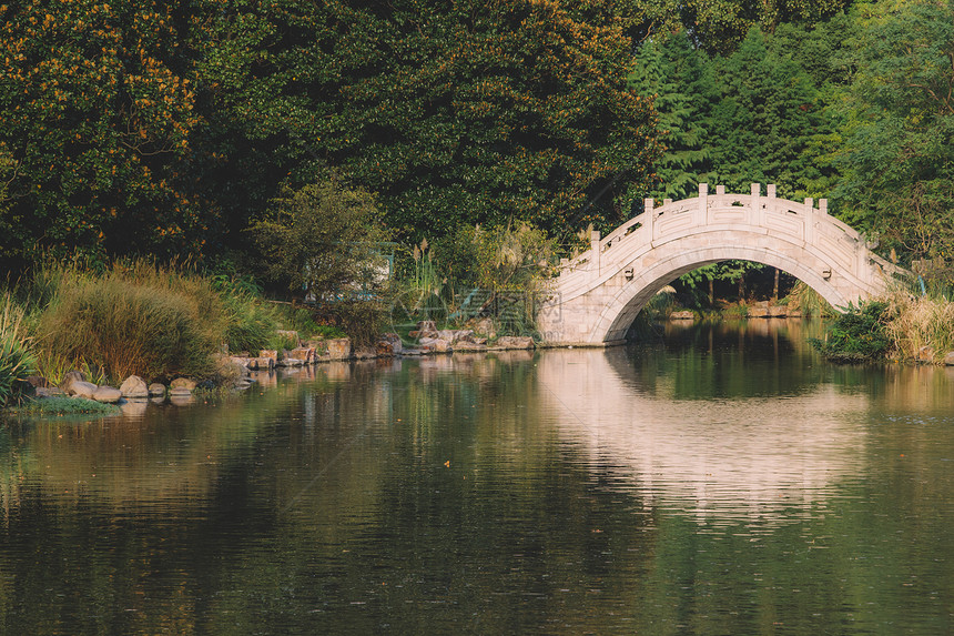 公园拱桥倒影绿色植物园艺图片