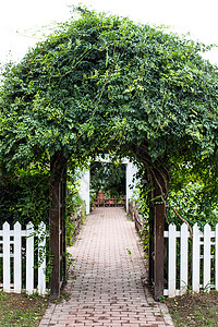 园艺绿植拱门花园图片