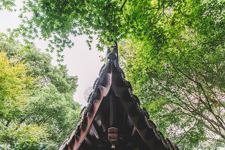 古建筑结构环境花园自然图片