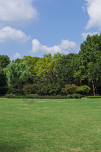 春游去哪玩蓝天白云树林草地景观风景背景