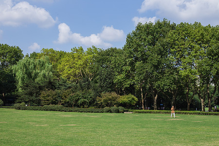 春游去哪玩蓝天白云树林草地老人风景背景