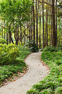 ps园石素材树林石路自然风光背景