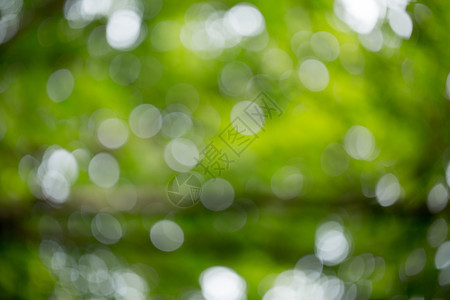 春天绿色植物虚化背景高清图片