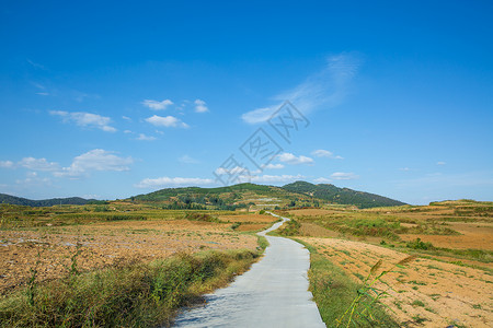 乡村 田野图片