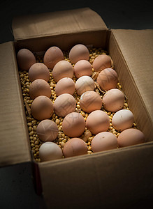 鸡蛋 笨鸡蛋 乡下特产笨鸡蛋 土鸡蛋 受精蛋母鸡蛋背景