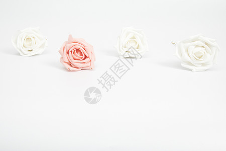 浪漫玫瑰留白设计背景高清图片
