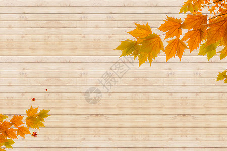 秋天树叶设计复古秋叶木底板设计素材设计图片
