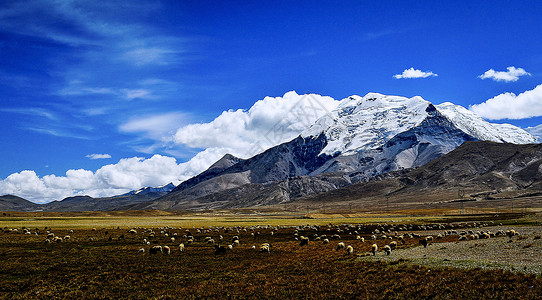 西藏高原背景图片