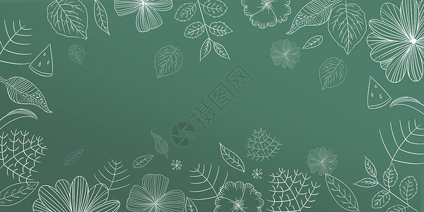 绿色芦荟手绘手绘花朵背景设计图片