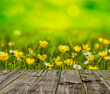 木质板旁的小黄花背景图片