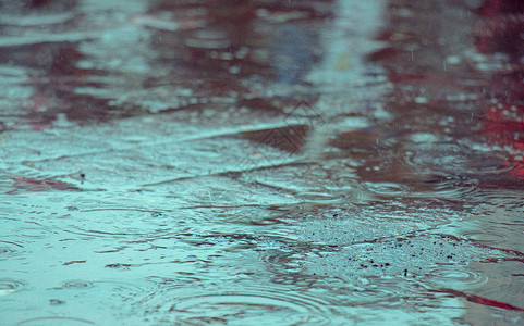 雨天湿漉漉的高清图片