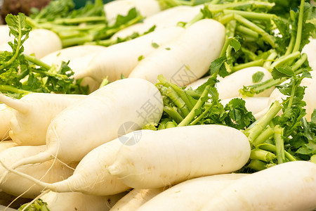 白玉萝卜色彩丰富的蔬菜水果背景