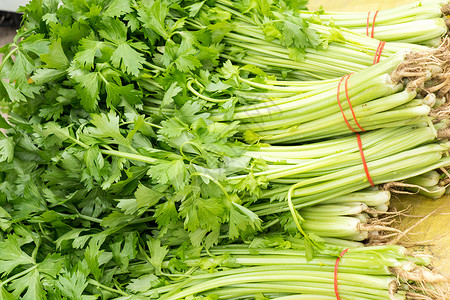 绿色食品新鲜的蔬菜芹菜背景