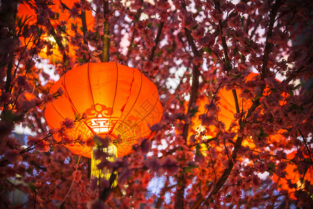 红红的灯笼春节夜景高清图片