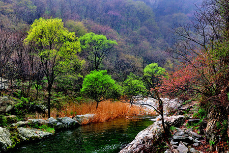 秦岭山风光背景图片