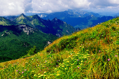 秦岭山风光背景图片