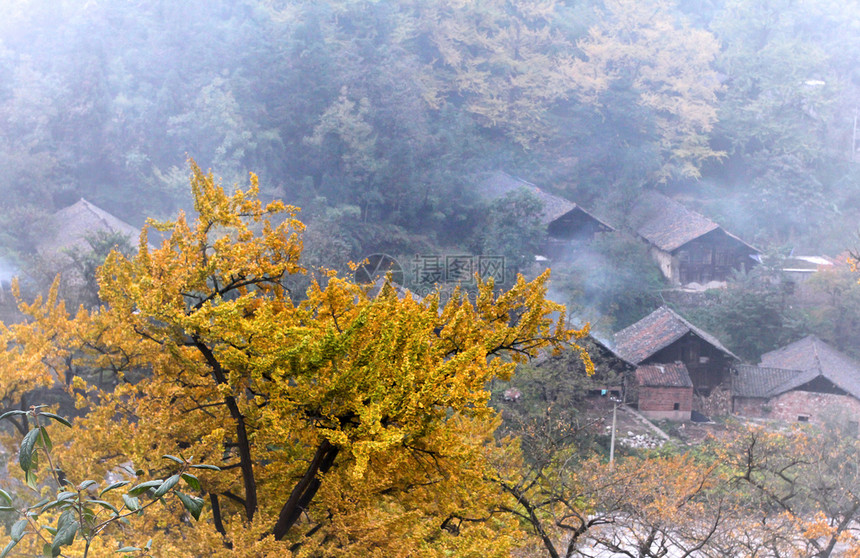 自然风光图片