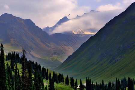 新疆果子沟高架新疆北疆自然风光背景