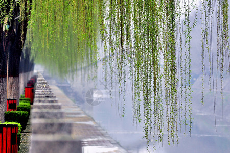 丝丝细雨西安环城西苑背景