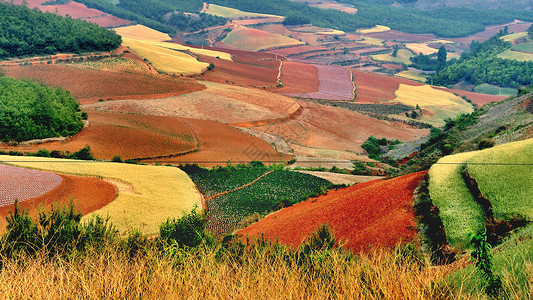 东川红土地背景图片