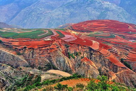 东川红土地云南红土地高清图片