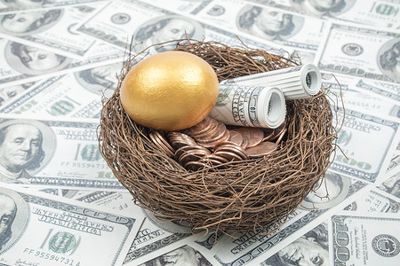投资金素材美元大钞上的金鸡蛋背景