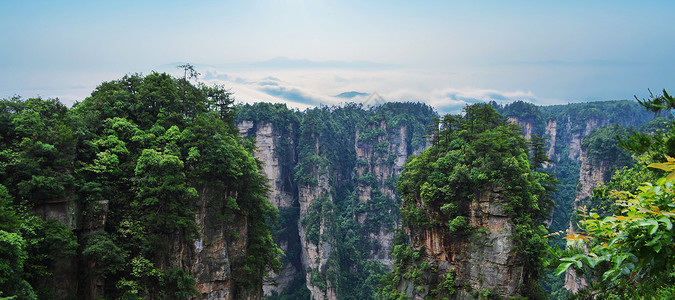 风景张家界的山高清图片