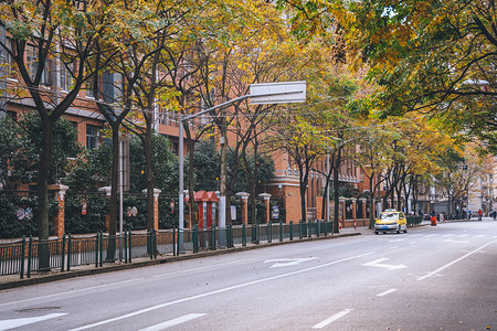 秋天的街道路边环境背景