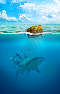 海底鲨鱼掉在大海底的木桶设计图片