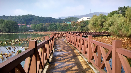 彩色标题框横幅自然风景桥梁建筑绿色植被背景