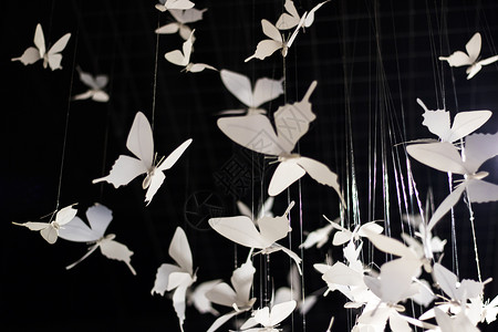 蝴蝶与花剪纸蝴蝶装饰背景