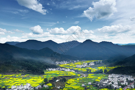 麦田风光青海祁连卓尔山长焦油菜花风光背景