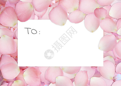 花瓣中央的情人节卡片背景图片