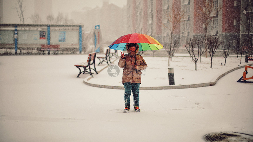 北京的春雪图片