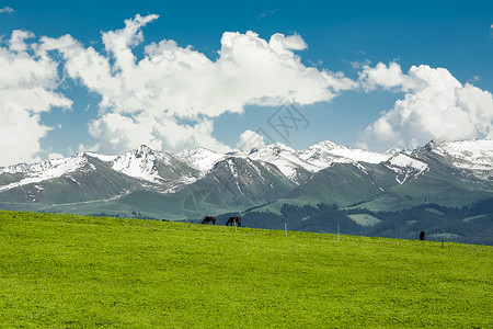 新疆天山牧场喀拉峻大草原背景