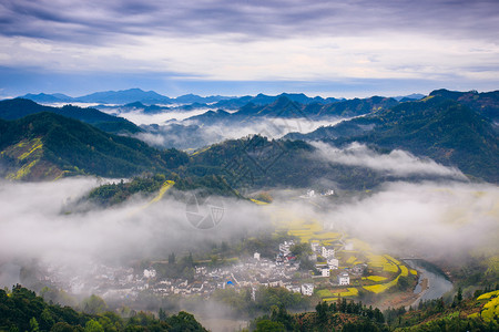 小田切让油菜花海背景