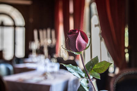 法式风情浪漫西餐厅送玫瑰告白背景