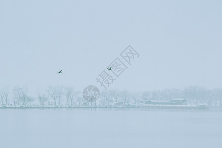 雪天骑行冬天雪景 背景 极简 园林背景