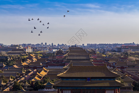 蓝天白云鸟南边京城的故宫背景